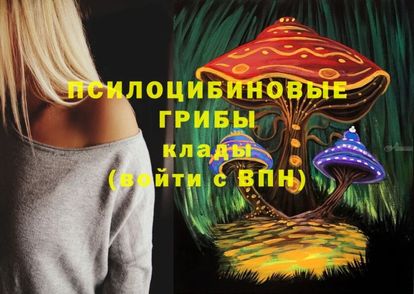 PSILOCYBIN Балабаново